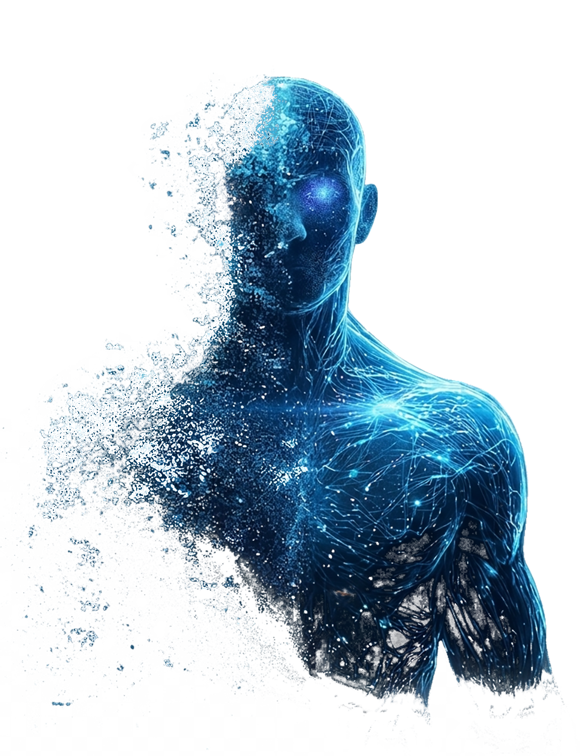 Trading algorítmico sin emociones